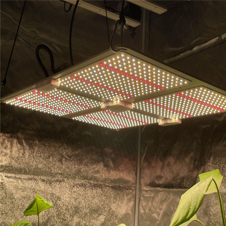 China New Product  Greenhouse Light - PhotonGroTM 4 – LED Grow Light – E-Lite