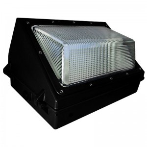 Best-Selling China LED Solar Light Outdoor Powered Waterproof COB Solar Wall Lamp