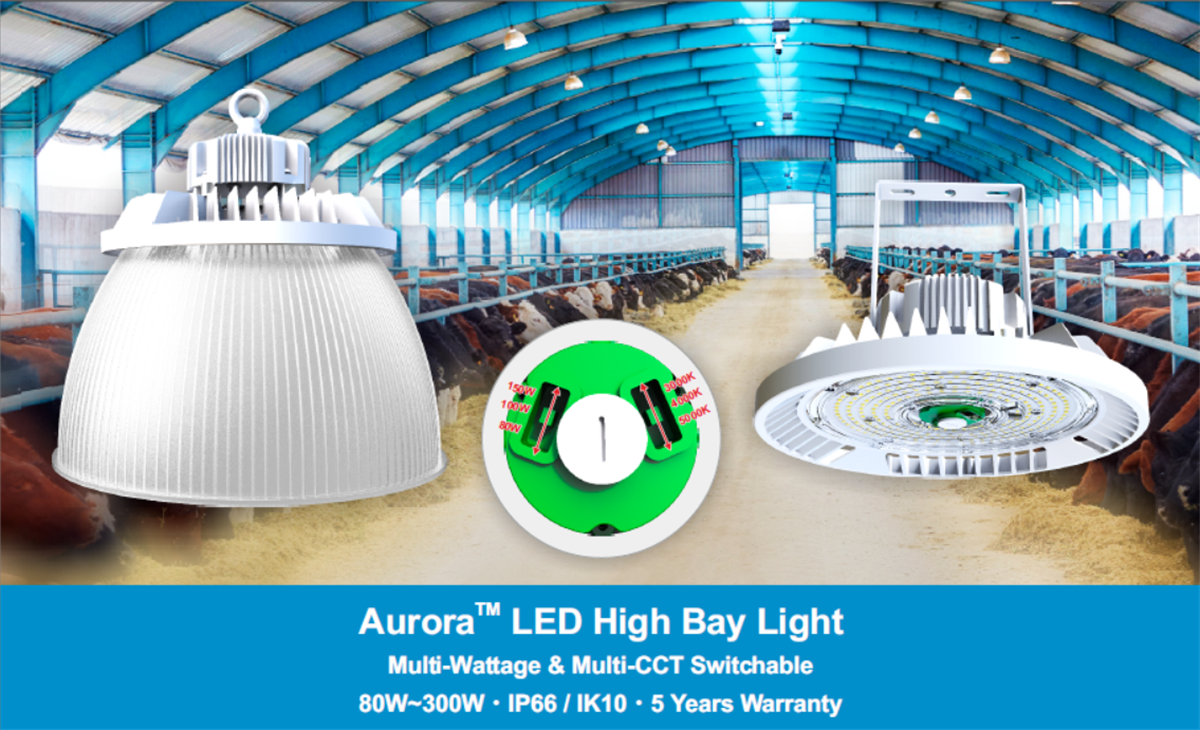 It’s Time to Switch from Conventional Lights to LED Lighting for Poultry Farm
