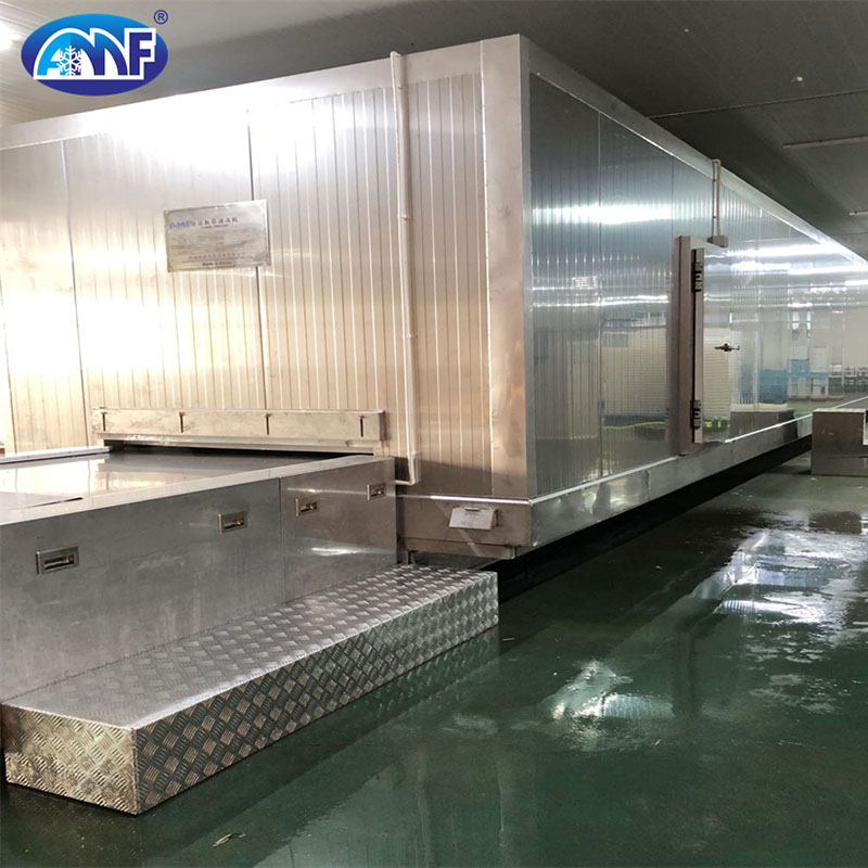 Impingement Solid Belt Tunnel Freezer for Fish (1)