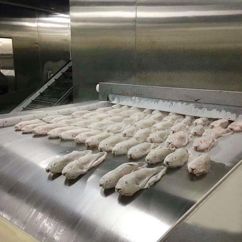 Hamburger Freezer Tunnel Solid Belt Tunnel Freezer for Shrimp, Salmon, Fish fillets, Squid, Meat, and Scallops – Emford