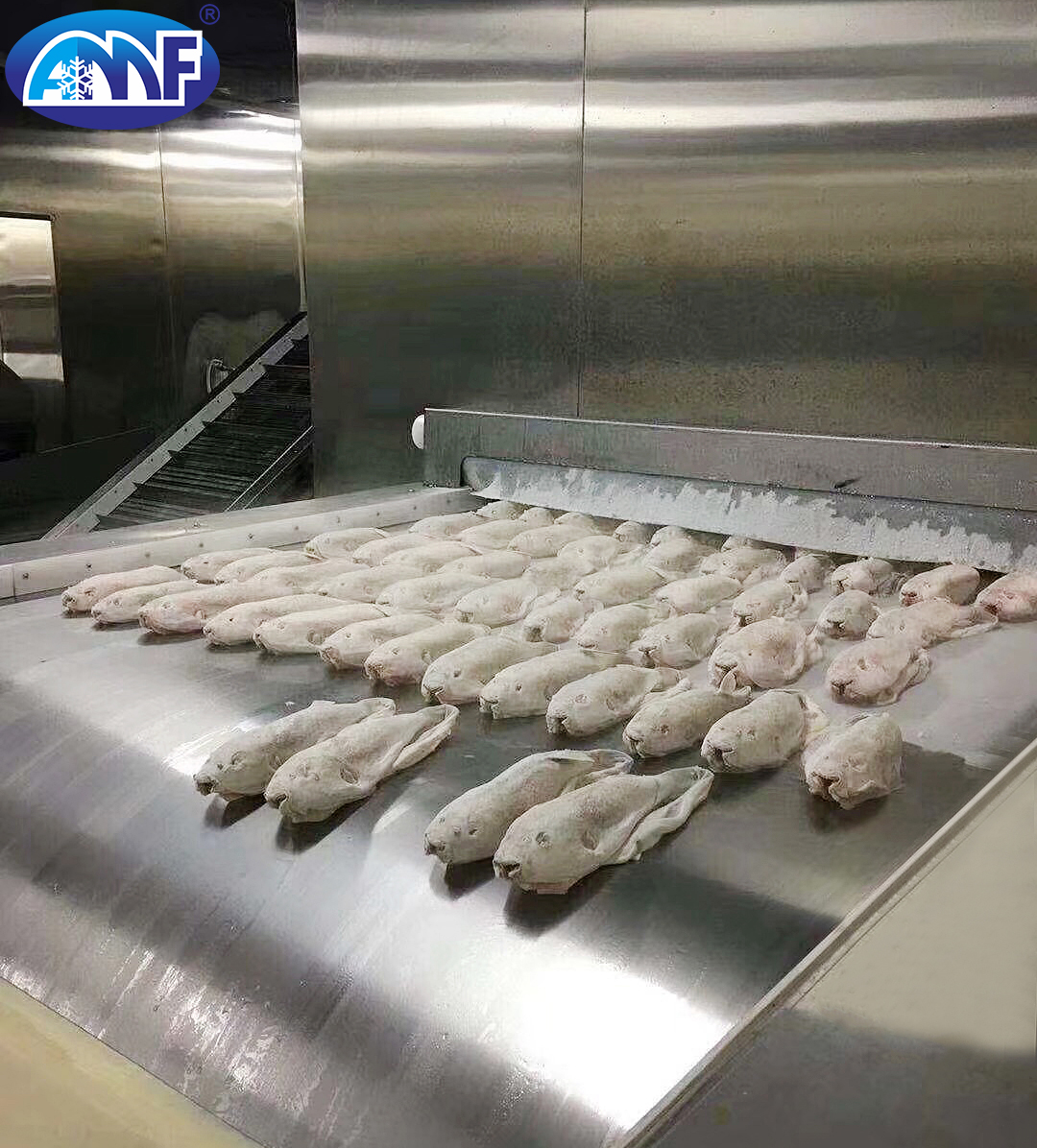 Burger Tunnel Freezer Solid Belt Tunnel Freezer for Shrimp, Salmon, Fish fillets, Squid, Meat, and Scallops – Emford