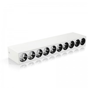 EL1019 10*2W 10 galvučių paviršiaus LED pritemdomas linijinis taškinis šviestuvas Ra97 tiekėjas
