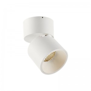 Lampy sufitowe LED EC1016 12W do montażu powierzchniowego, okrągłe, skierowane w dół, o wysokim CRI