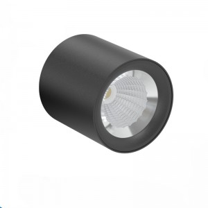 EC2001 10W dimming surface mounted led lights round spotlight CCT tunable Ra 97