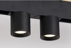 Lumină cu LED-uri de 2*5W reglabilă în jos, negru mat cu reglaj CCT