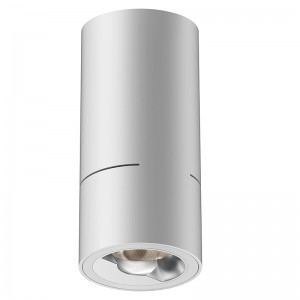 EC1010 6W dimming led surface mount ceiling lights Hermes series round downlight wall washer