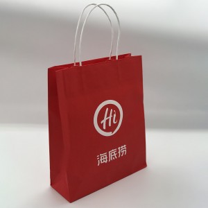 OEM Eco-friendly paper gift bag with paper handle