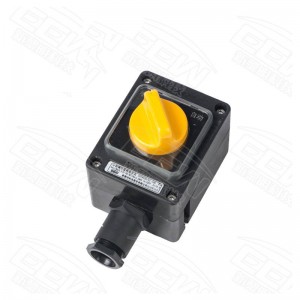 ZXF8030/51 Explosion Proof Corrosion Resistance Switches (IIC, tD)