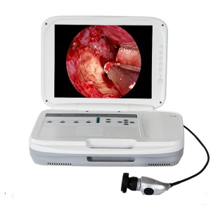 All in 1 portable endoscopy visualization unit