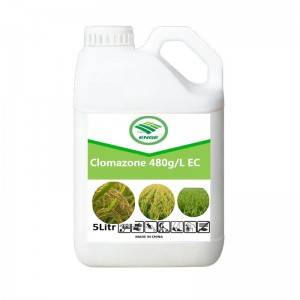 Clomazone herbicide 480g/l EC on sale