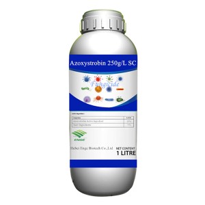 Azoxystrobin 20%+Tebuconazole 20%SC Fungicide