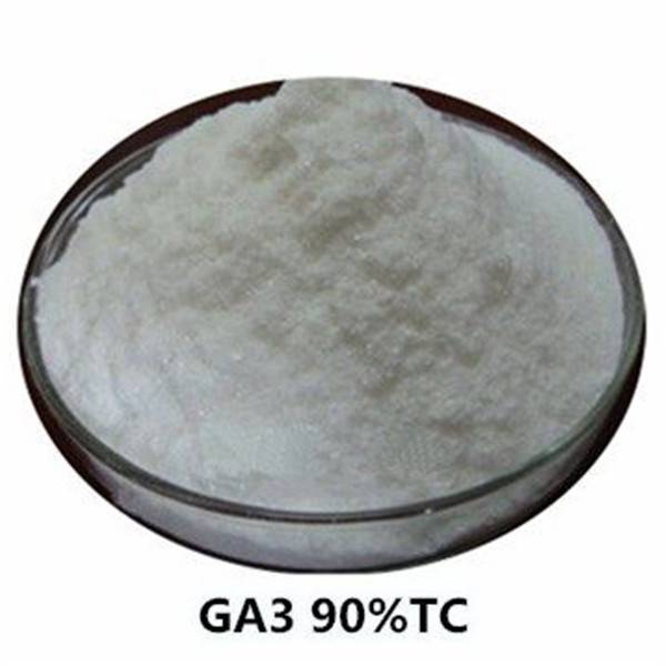 China wholesale GA3 90%TC – Gibberellic Acid( GA3) – Enge Biotech