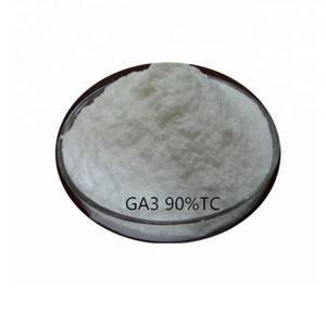 Gibberellic Acid( GA3)  hormone 90% TC in Plant growth regulator