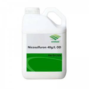 Good quality Metsulfuron-methyl 60%WDG - Nicosulfuron  – Enge Biotech