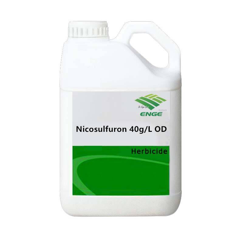 Nicosulfuron 40g OD
