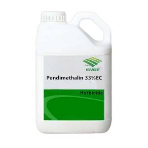 Reasonable price Metsulfuron-methyl 10%WP 60%WP -  Pendimethalin – Enge Biotech