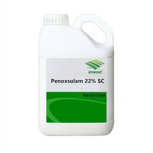 China Cheap price Glyphosate Isopropylamine Salt - Penoxsulam – Enge Biotech