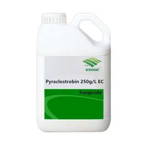 Fungicide Pyraclostrobin 250g/L EC 30% SC