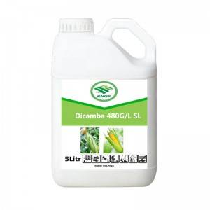 Herbicide Dicamba weedicide 480g/L SL