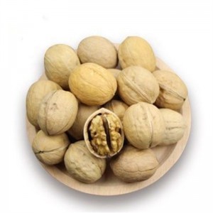 Wholesale lower price shelled walnut kernel from raw thin-skin walnut