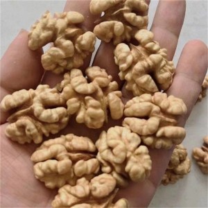 Wholesale lower price shelled walnut kernel from raw thin-skin walnut