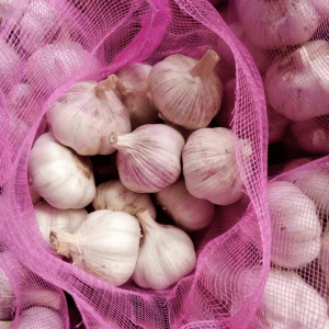 High Quality Fresh Garlic Exclusively for Large Supermarkets at 98% pass rate