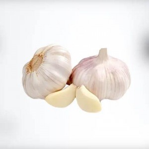 2022 Chinese Fresh Garlic 10kg/bag hot sales for European Super Market