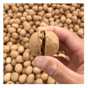 Best price raw dry fruits unwashed shelled 185 paper skin walnut in China