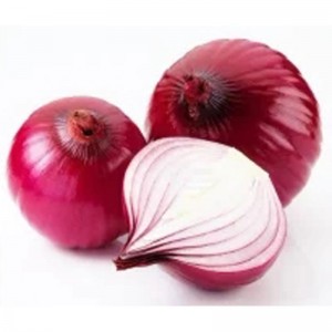 Best quality Fresh Garlic Whole - High Quality Fresh Vegetables Red and Yellow Onions in Bulk Chinese Exporters – En Shine