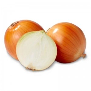 High Quality Fresh Vegetables Red and Yellow Onions in Bulk Chinese Exporters