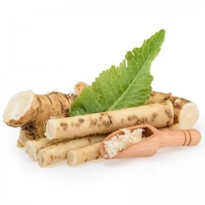 Japanese Horseradish/Wasabi Root for Pungent Condiment