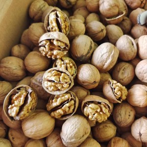 Chinese Professional Walnut Kernel In Halves - Light Walnut Halves 185 Extra Light Walnut – En Shine