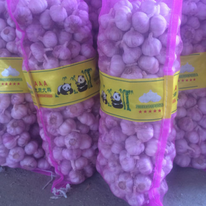 Garlic fresh Chinese Normal white garlic wholesale fresh vegetables 20kg mesh bag fresh white garlic