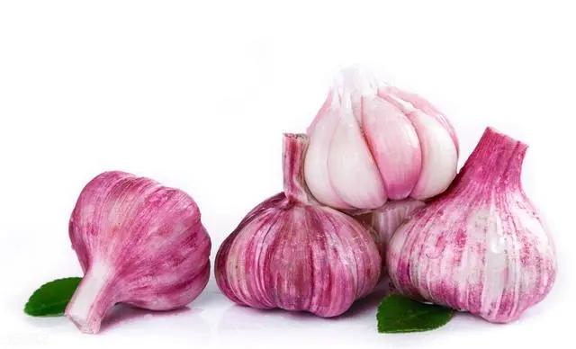 How to store garlic to stay fresh？