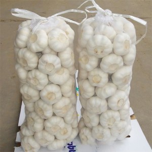 Chinese Low Price Fresh Garlic White Garlic Normal White Garlic