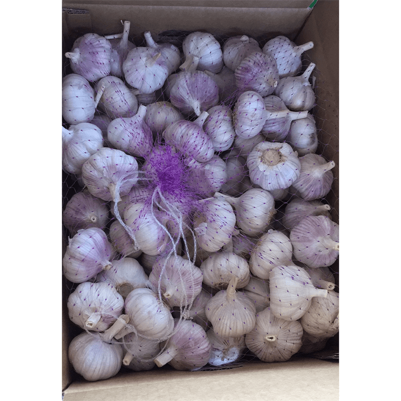 2023 New Crop Fresh Normal White Garlic by sale