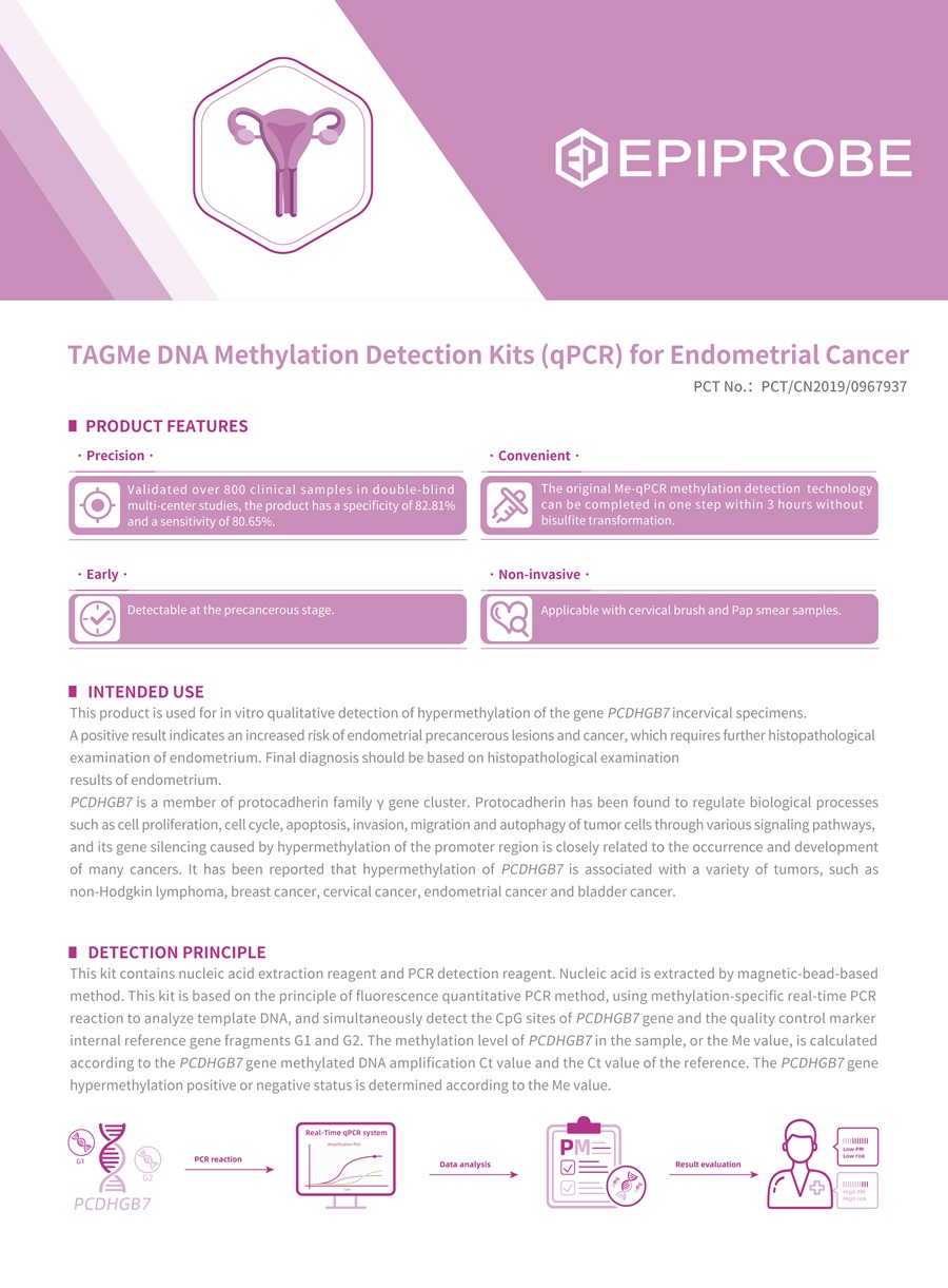 Methylation DNA Detection Kits for Endometrial Cancer: Understanding the Principle and Function