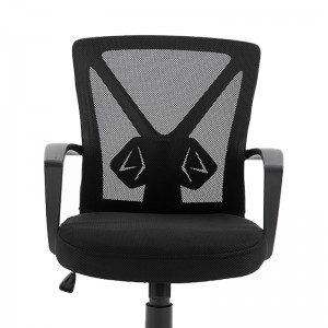 ERGODESIGN  Mesh Computer Chair Ergonomic Office Chair with Lumbar Support Armrests