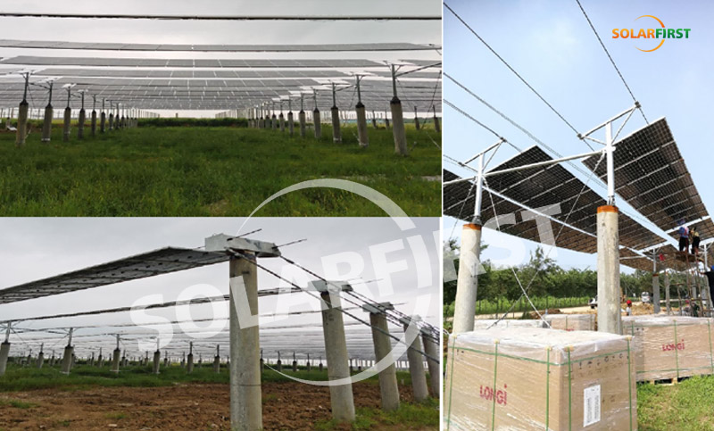 Jiangsu Hongsi 1MWp Suporte de cabo de suspensão flexível - Projeto complementar agrícola e solar