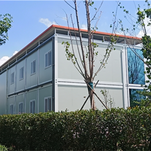 Modułowy prefabrykowany 20-stopowy prefabrykowany dom kontenerowy Standardowy dom kontenerowy