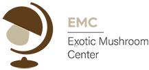 EMC-logo