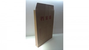 دستگاه ساخت کیسه کاغذی تغذیه ورق ZB700C-240