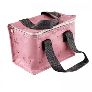Short Lead Time for Ice Packs For Coolers - Cooler Bag cl19-01 Kids cooler bag – Ewin