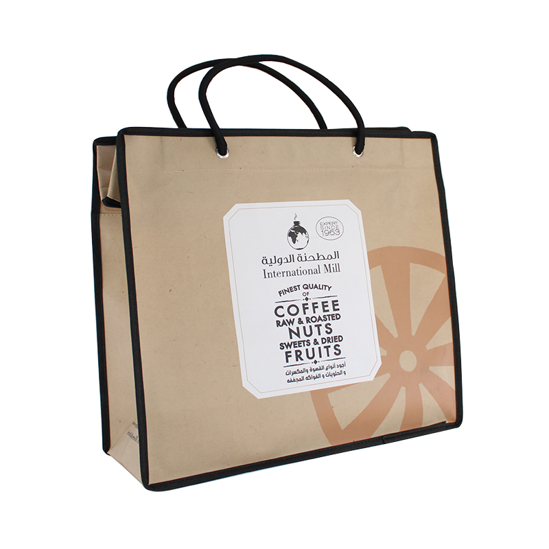 Reliable Supplier Foldable Grocery Bags - NB 19-02  non woven with lamination, zipper closure – Ewin