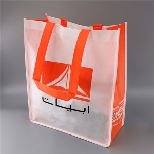 Hot-selling Cotton Mesh Bag - Non-Woven NB19-01 – Ewin