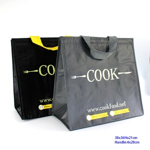 CL19-09  Cooler bag  INSULATED FREEZER BAG