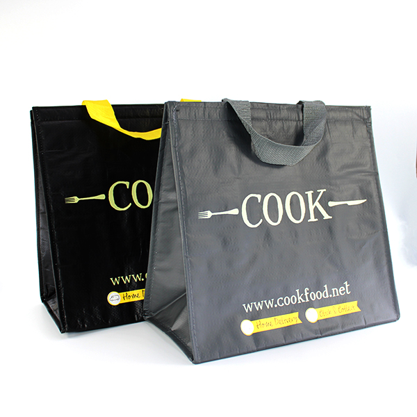 CL19-09  Cooler bag  INSULATED FREEZER BAG Featured Image