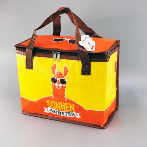Special Design for Esky Lunch Box - Cooler Bag CL19-03 – Ewin