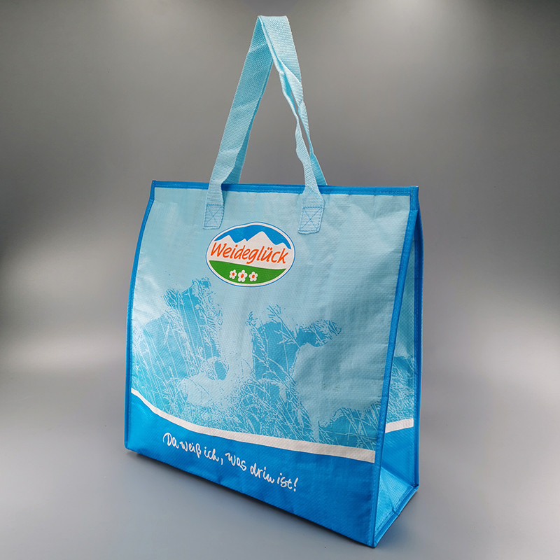 Chinese Professional Picnic Cooler Bag - Cooler Bag cl19-08 – Ewin